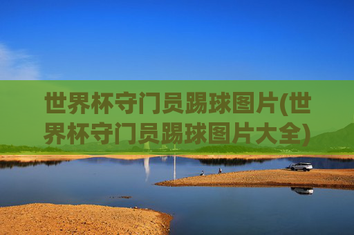 世界杯守门员踢球图片(世界杯守门员踢球图片大全)