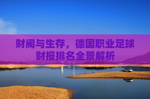 财阀与生存,德国职业足球财报排名全景解析