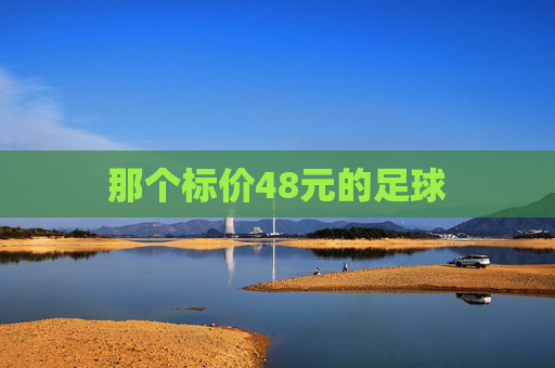 那个标价48元的足球
