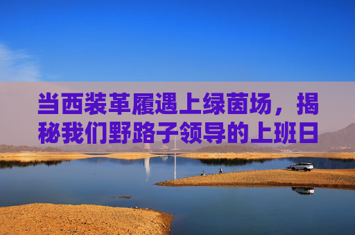 当西装革履遇上绿茵场,揭秘我们野路子领导的上班日常
