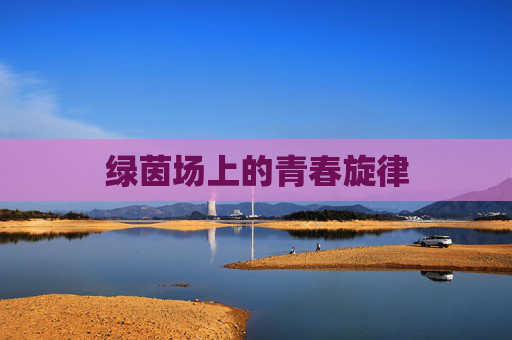 绿茵场上的青春旋律