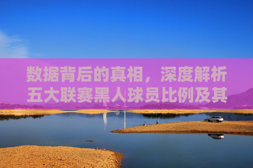 数据背后的真相,深度解析五大联赛黑人球员比例及其背后的历史与现状