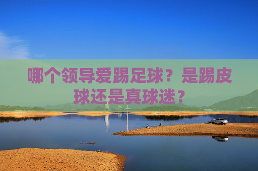 哪个领导爱踢足球?是踢皮球还是真球迷?