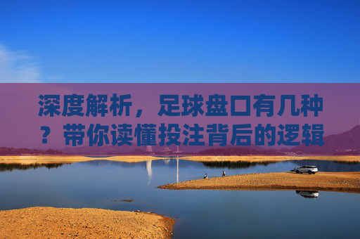 深度解析,足球盘口有几种?带你读懂投注背后的逻辑