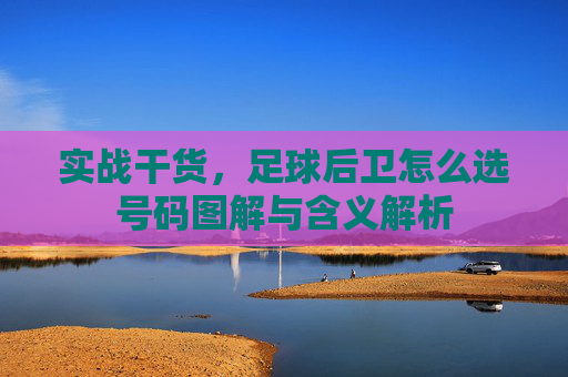 实战干货,足球后卫怎么选号码图解与含义解析