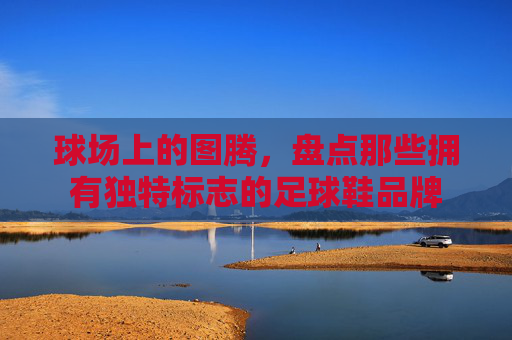 球场上的图腾,盘点那些拥有独特标志的足球鞋品牌