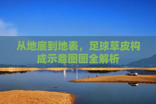 从地底到地表,足球草皮构成示意图图全解析