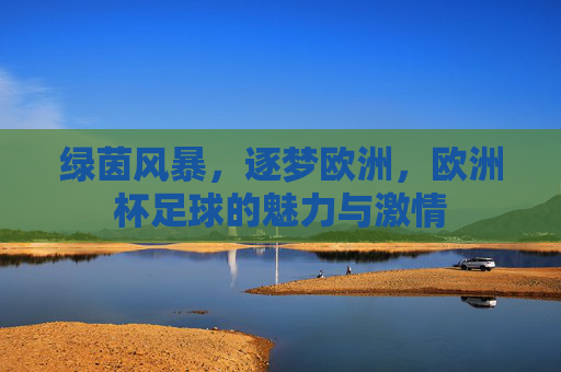 绿茵风暴,逐梦欧洲,欧洲杯足球的魅力与激情