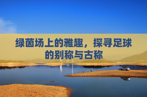 绿茵场上的雅趣,探寻足球的别称与古称