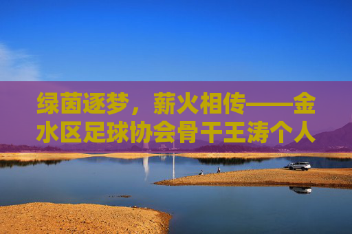 绿茵逐梦,薪火相传——金水区足球协会骨干王涛个人简历