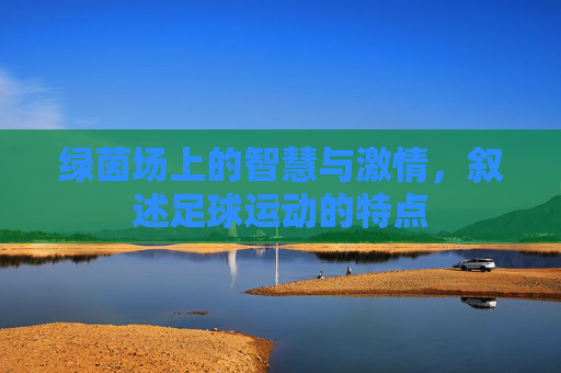 绿茵场上的智慧与激情,叙述足球运动的特点