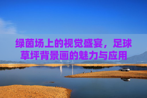 绿茵场上的视觉盛宴,足球草坪背景画的魅力与应用