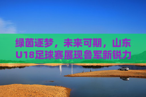 绿茵逐梦,未来可期,山东U18足球赛展现鲁军新锐力量