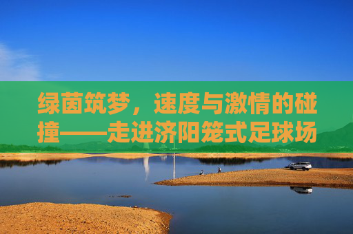 绿茵筑梦,速度与激情的碰撞——走进济阳笼式足球场