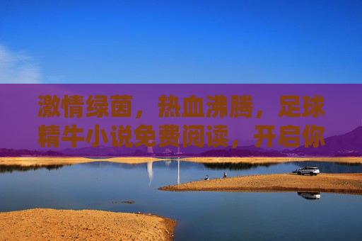 激情绿茵,热血沸腾,足球精牛小说免费阅读,开启你的足球经理梦