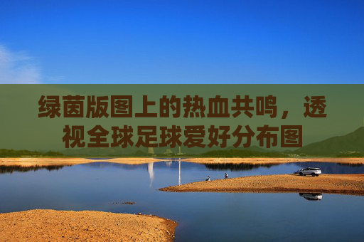 绿茵版图上的热血共鸣,透视全球足球爱好分布图