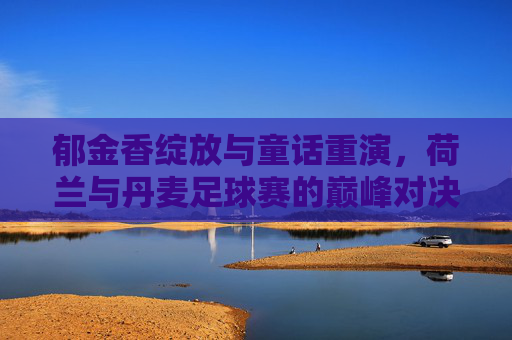 郁金香绽放与童话重演,荷兰与丹麦足球赛的巅峰对决