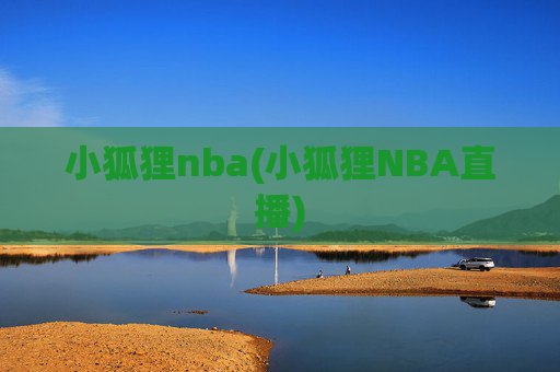 小狐狸nba(小狐狸NBA直播)