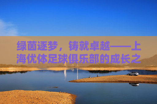 绿茵逐梦,铸就卓越——上海优体足球俱乐部的成长之路