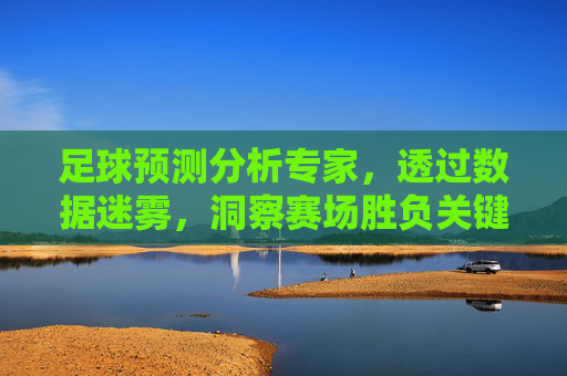 足球预测分析专家,透过数据迷雾,洞察赛场胜负关键