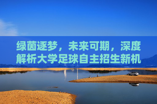 绿茵逐梦,未来可期,深度解析大学足球自主招生新机遇