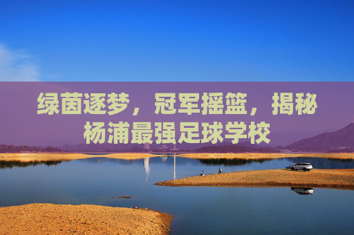 绿茵逐梦,冠军摇篮,揭秘杨浦最强足球学校