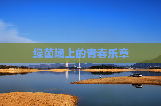 绿茵场上的青春乐章