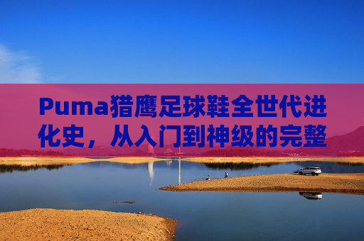Puma猎鹰足球鞋全世代进化史,从入门到神级的完整等级图鉴