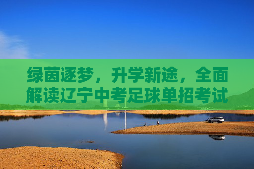 绿茵逐梦,升学新途,全面解读辽宁中考足球单招考试