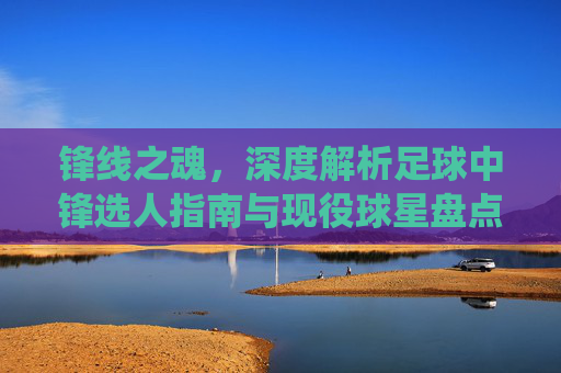 锋线之魂，深度解析足球中锋选人指南与现役球星盘点