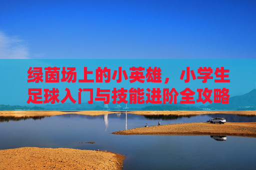 绿茵场上的小英雄,小学生足球入门与技能进阶全攻略