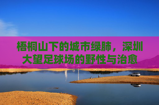 梧桐山下的城市绿肺,深圳大望足球场的野性与治愈