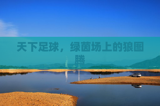 天下足球,绿茵场上的狼图腾