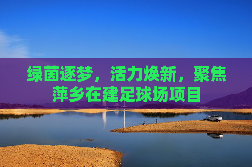 绿茵逐梦,活力焕新,聚焦萍乡在建足球场项目