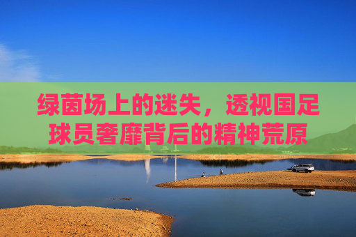 绿茵场上的迷失,透视国足球员奢靡背后的精神荒原