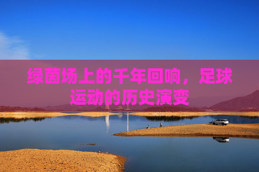 绿茵场上的千年回响,足球运动的历史演变