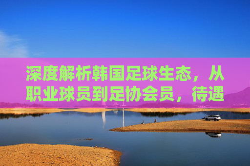 深度解析韩国足球生态,从职业球员到足协会员,待遇体系如何支撑发展?
