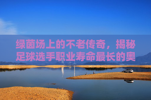 绿茵场上的不老传奇,揭秘足球选手职业寿命最长的奥秘