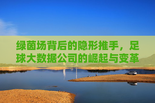 绿茵场背后的隐形推手,足球大数据公司的崛起与变革