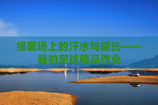绿茵场上的汗水与成长——我的足球精品作业
