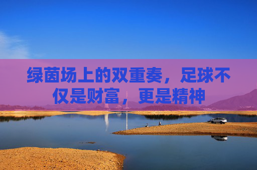 绿茵场上的双重奏,足球不仅是财富,更是精神