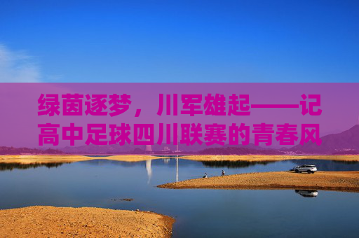 绿茵逐梦,川军雄起——记高中足球四川联赛的青春风暴