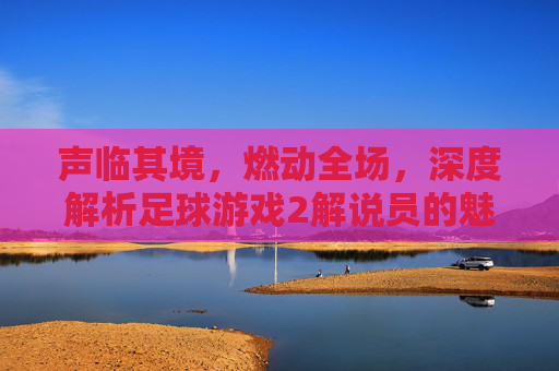 声临其境,燃动全场,深度解析足球游戏2解说员的魅力与进化