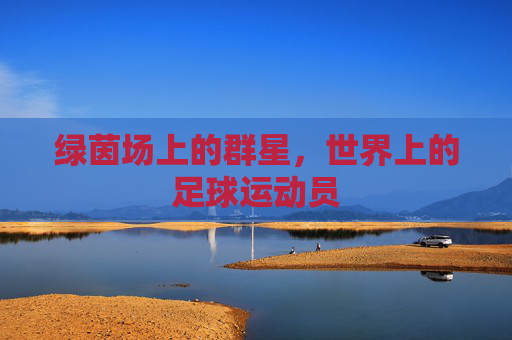 绿茵场上的群星,世界上的足球运动员
