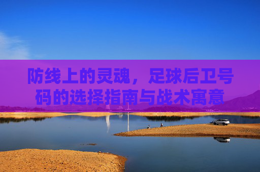 防线上的灵魂,足球后卫号码的选择指南与战术寓意