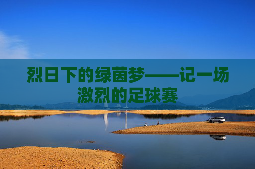 烈日下的绿茵梦——记一场激烈的足球赛