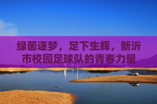 绿茵逐梦,足下生辉,新沂市校园足球队的青春力量