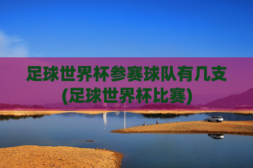 足球世界杯参赛球队有几支(足球世界杯比赛)
