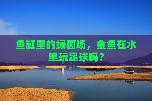 鱼缸里的绿茵场,金鱼在水里玩足球吗?