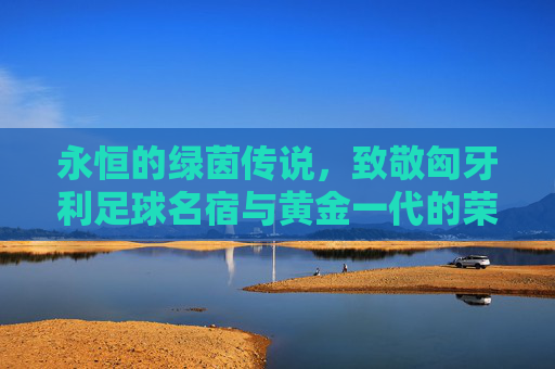 永恒的绿茵传说,致敬匈牙利足球名宿与黄金一代的荣光